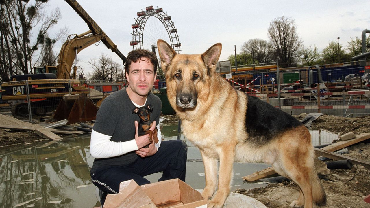 Kommissar Rex Endlich ist die Bestie tot Sat.1 Gold
