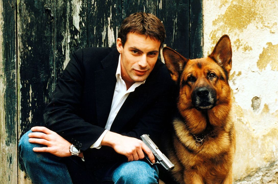 Сериалы нтв 2023. Хозяева 1. Хозяева 1. Николас офчарек комиссар рекс. Тобиас моретти о сериале комиссар рекс.